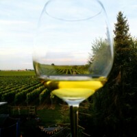 Weinglas im Garten genießen