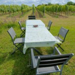 Garten, grillen, Essen, ein Glas Wein direkt am Rebenmeer genießen und abschalten