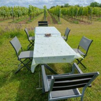 Garten, grillen, Essen, ein Glas Wein direkt am Rebenmeer genießen und abschalten