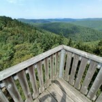 Eckkopf Deidesheim Pfälzer Wald Eckkopf Deidesheim Pfälzer Wald