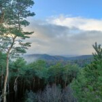 der Pfälzer Wald, längstes zusammenhängendes Waldgebiet Deutschlands der Pfälzer Wald, längstes zusammenhängendes Waldgebiet Deutschlands
