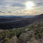 der Pfälzer Wald, längstes zusammenhängendes Waldgebiet Deutschlands der Pfälzer Wald, längstes zusammenhängendes Waldgebiet Deutschlands