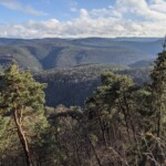 der Pfälzer Wald, längstes zusammenhängendes Waldgebiet Deutschlands der Pfälzer Wald, längstes zusammenhängendes Waldgebiet Deutschlands