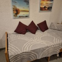 großes Ess- und Wohnzimmer, Leseecke mit Ledercouch und Ersatzbett